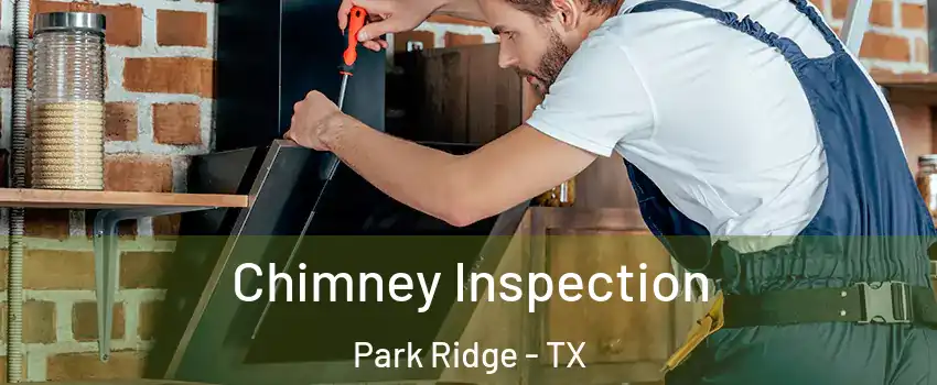 Chimney Inspection Park Ridge - TX