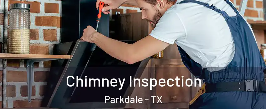 Chimney Inspection Parkdale - TX