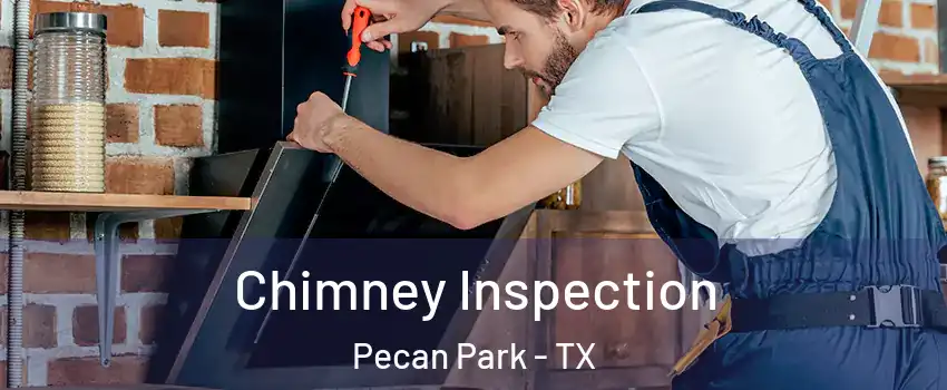 Chimney Inspection Pecan Park - TX