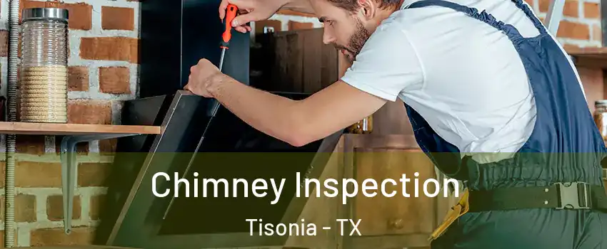 Chimney Inspection Tisonia - TX