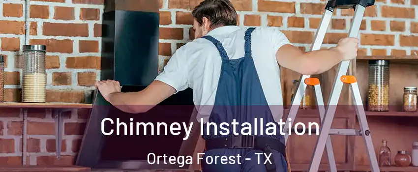 Chimney Installation Ortega Forest - TX