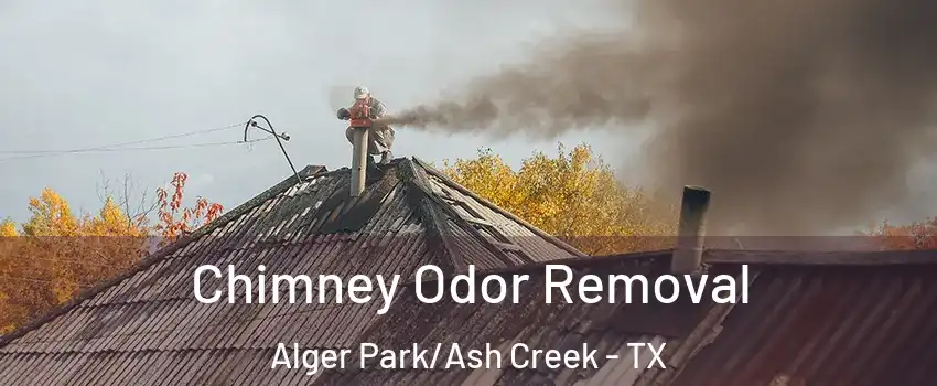 Chimney Odor Removal Alger Park/Ash Creek - TX