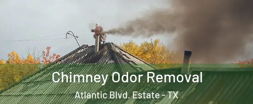 Chimney Odor Removal Atlantic Blvd. Estate - TX