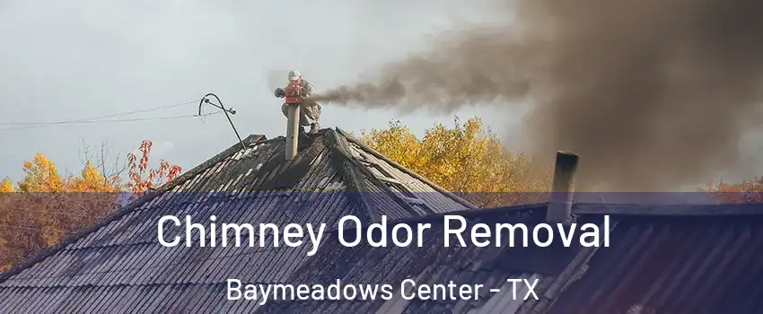 Chimney Odor Removal Baymeadows Center - TX