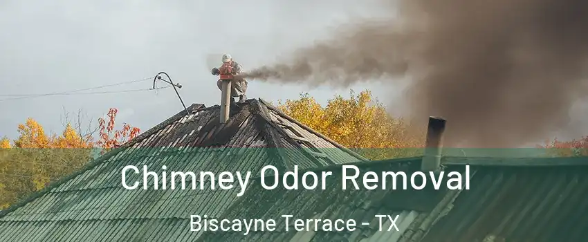 Chimney Odor Removal Biscayne Terrace - TX