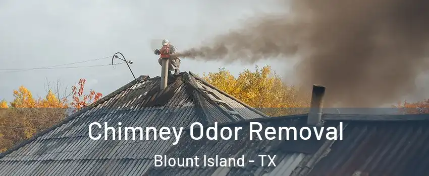 Chimney Odor Removal Blount Island - TX