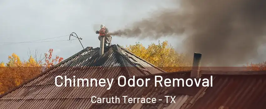 Chimney Odor Removal Caruth Terrace - TX