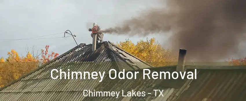 Chimney Odor Removal Chimmey Lakes - TX