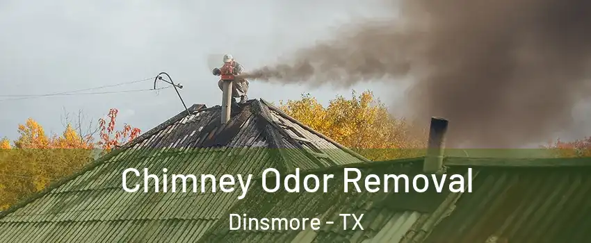 Chimney Odor Removal Dinsmore - TX