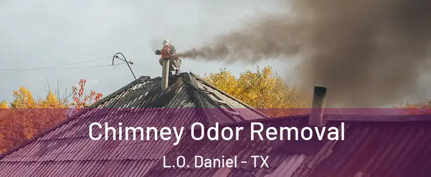 Chimney Odor Removal L.O. Daniel - TX