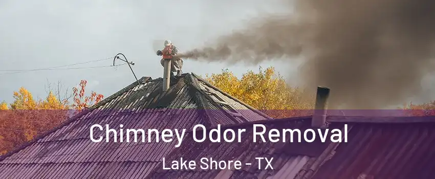 Chimney Odor Removal Lake Shore - TX