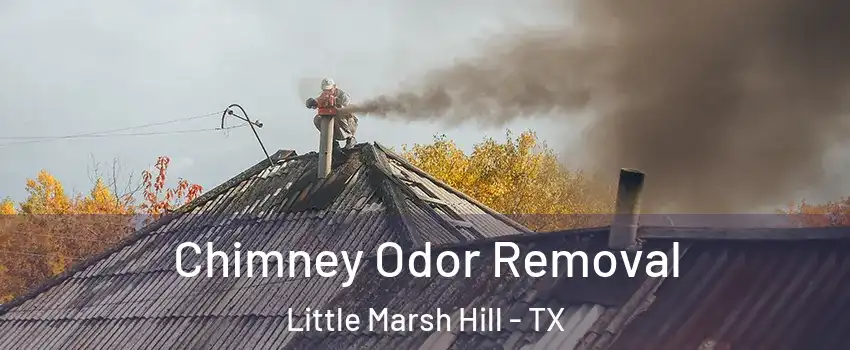 Chimney Odor Removal Little Marsh Hill - TX