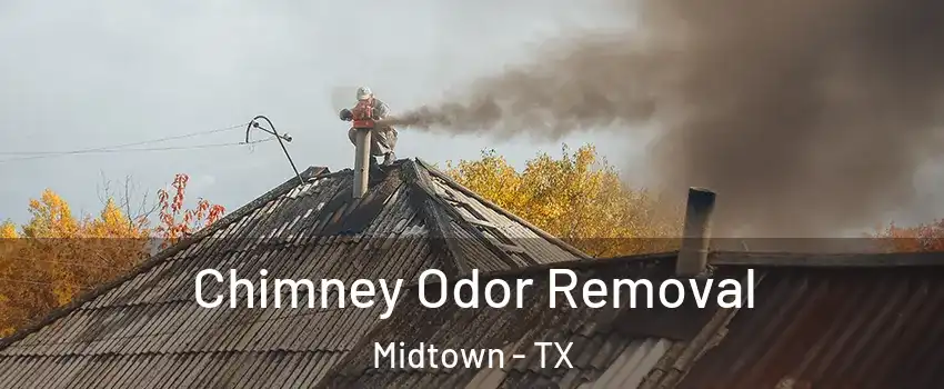 Chimney Odor Removal Midtown - TX