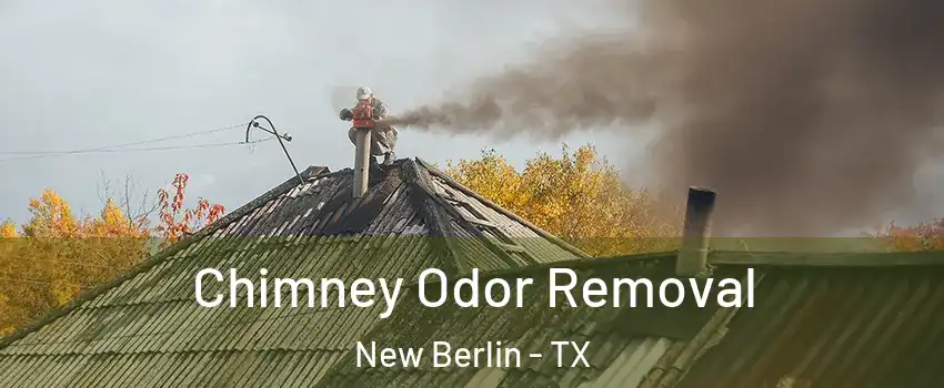 Chimney Odor Removal New Berlin - TX