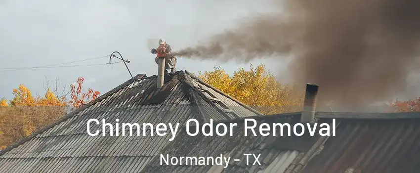 Chimney Odor Removal Normandy - TX