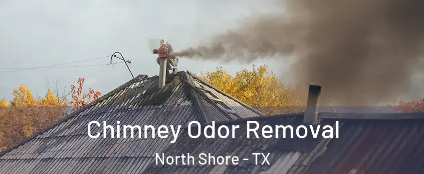 Chimney Odor Removal North Shore - TX