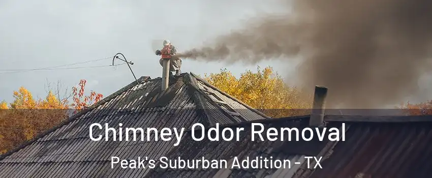 Chimney Odor Removal Peak's Suburban Addition - TX