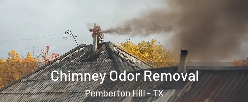 Chimney Odor Removal Pemberton Hill - TX