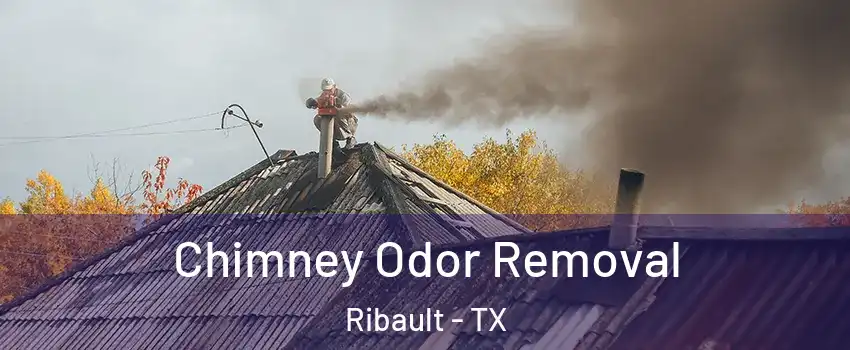 Chimney Odor Removal Ribault - TX