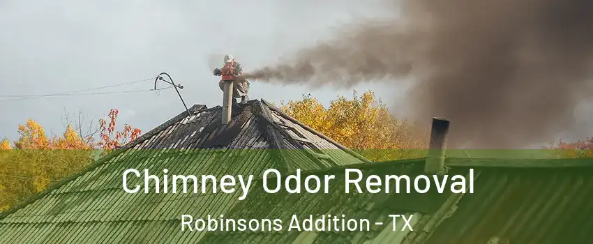 Chimney Odor Removal Robinsons Addition - TX