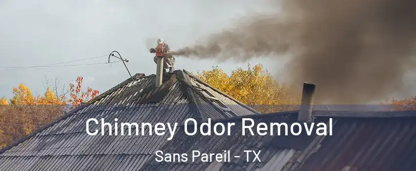 Chimney Odor Removal Sans Pareil - TX