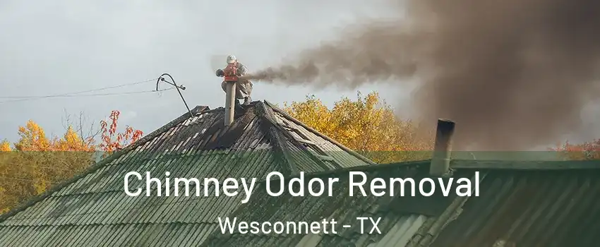 Chimney Odor Removal Wesconnett - TX