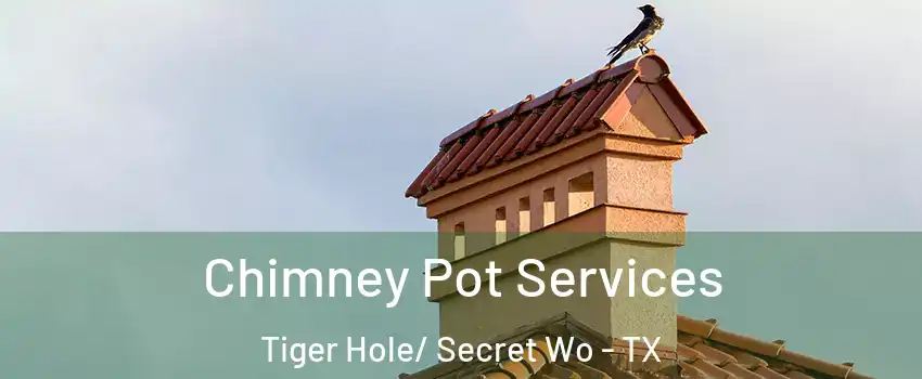 Chimney Pot Services Tiger Hole/ Secret Wo - TX