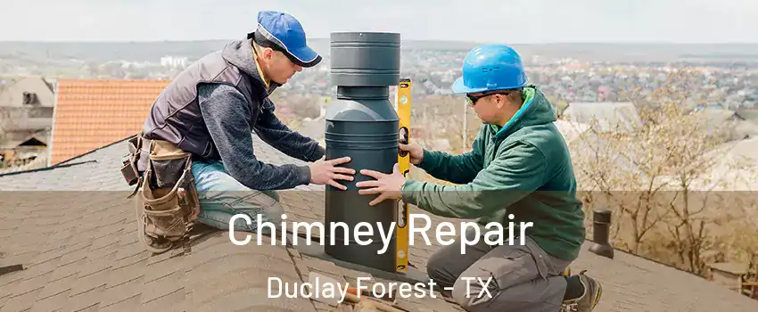 Chimney Repair Duclay Forest - TX