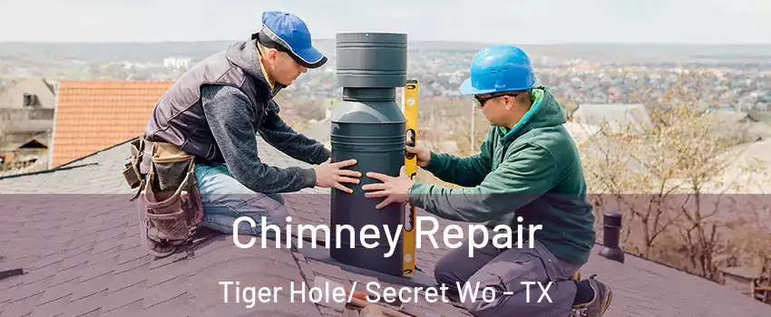 Chimney Repair Tiger Hole/ Secret Wo - TX