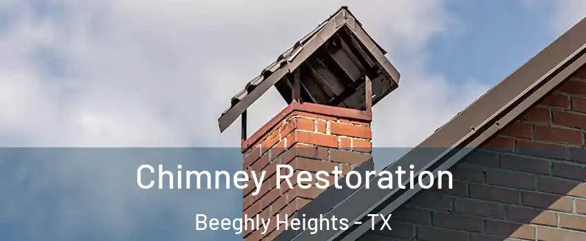 Chimney Restoration Beeghly Heights - TX