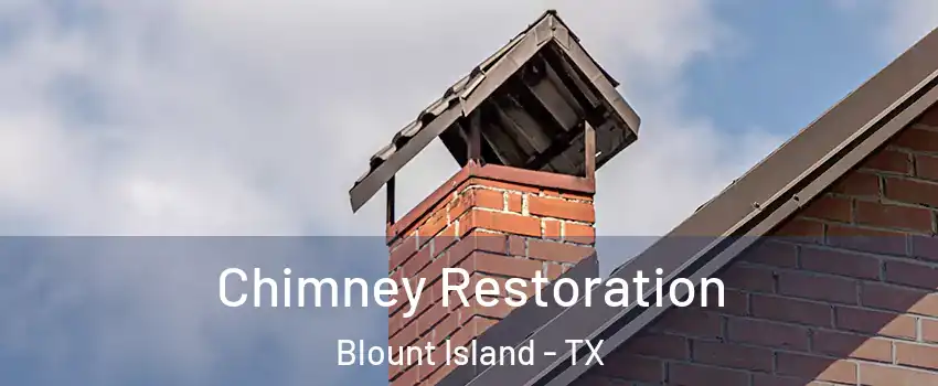 Chimney Restoration Blount Island - TX