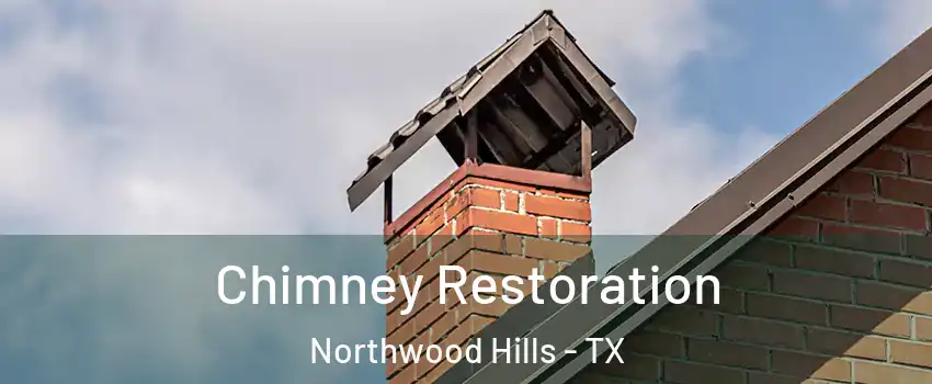 Chimney Restoration Northwood Hills - TX