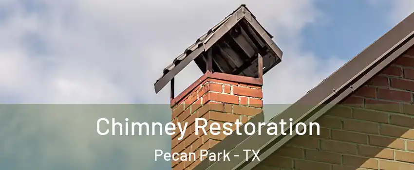 Chimney Restoration Pecan Park - TX