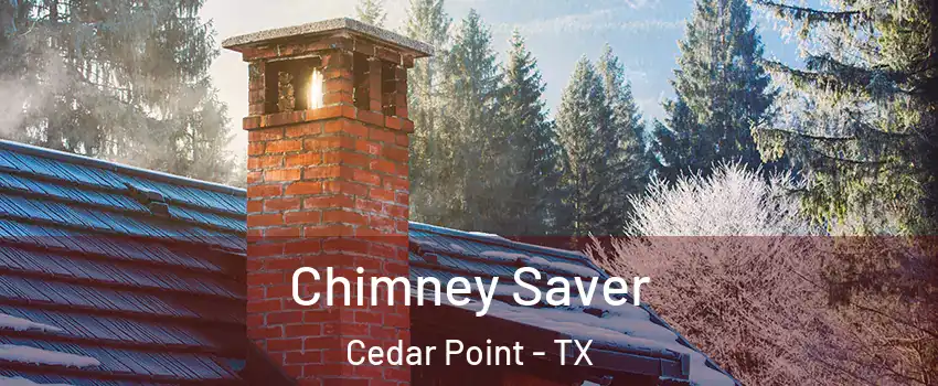 Chimney Saver Cedar Point - TX