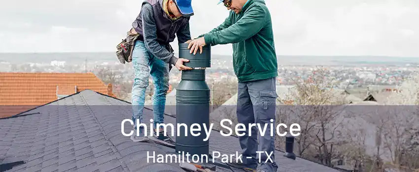 Chimney Service Hamilton Park - TX