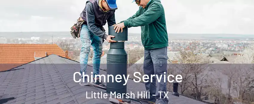 Chimney Service Little Marsh Hill - TX