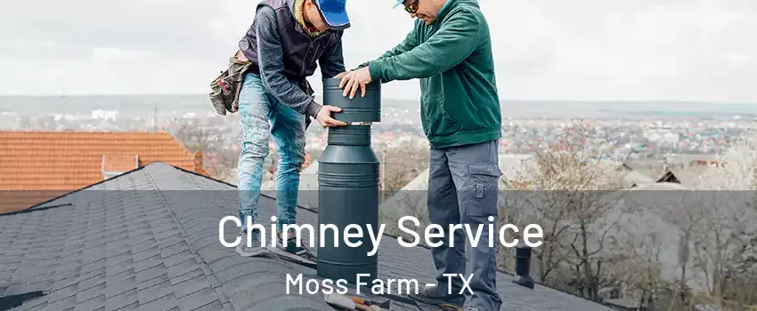 Chimney Service Moss Farm - TX