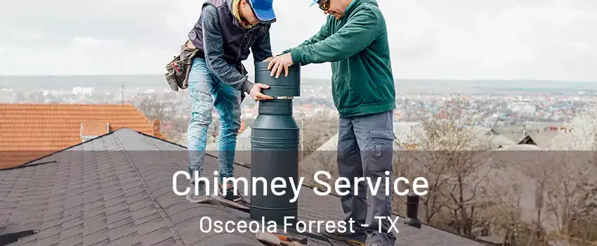 Chimney Service Osceola Forrest - TX