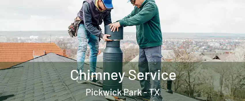 Chimney Service Pickwick Park - TX