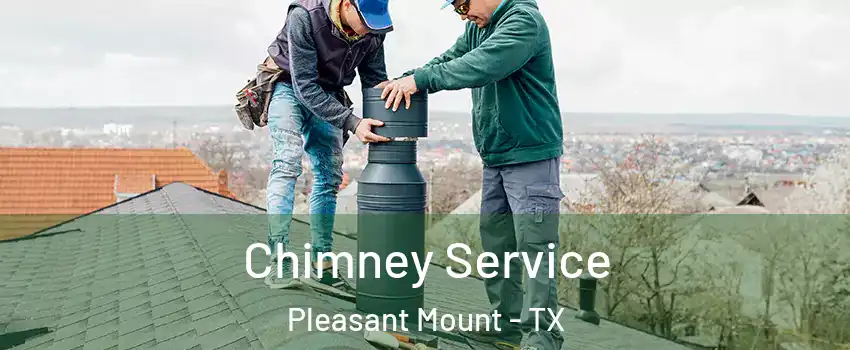 Chimney Service Pleasant Mount - TX