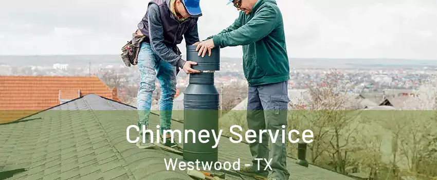 Chimney Service Westwood - TX