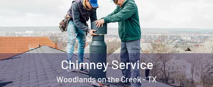 Chimney Service Woodlands on the Creek - TX