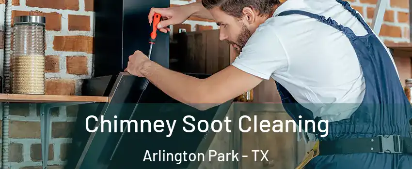 Chimney Soot Cleaning Arlington Park - TX