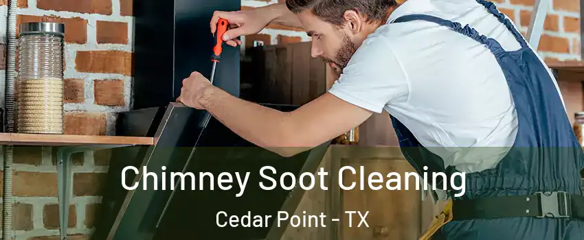 Chimney Soot Cleaning Cedar Point - TX