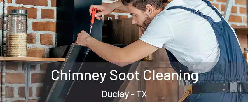 Chimney Soot Cleaning Duclay - TX