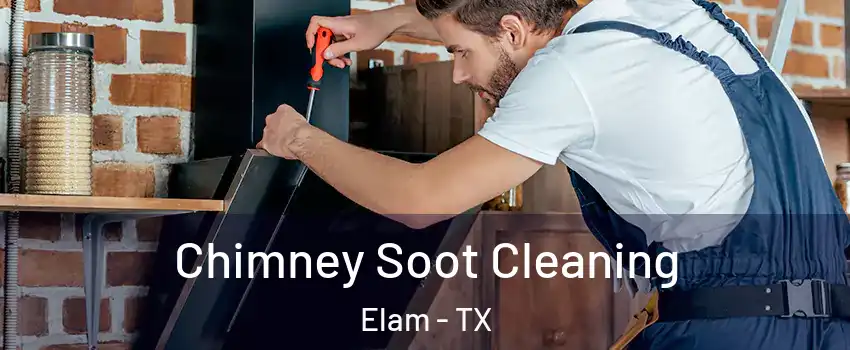 Chimney Soot Cleaning Elam - TX