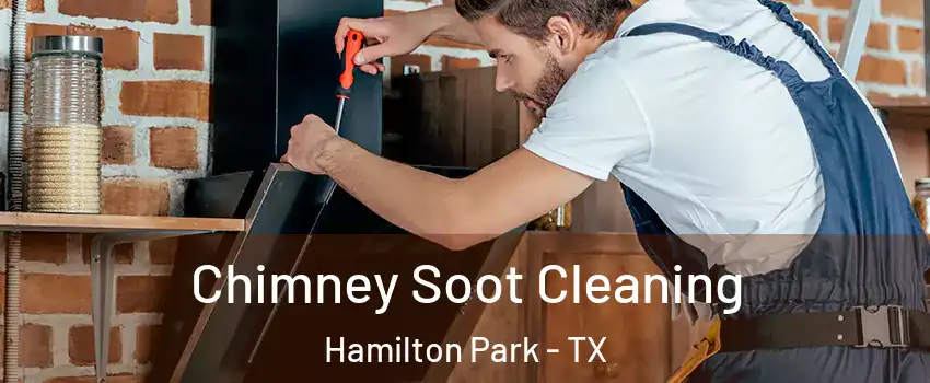 Chimney Soot Cleaning Hamilton Park - TX