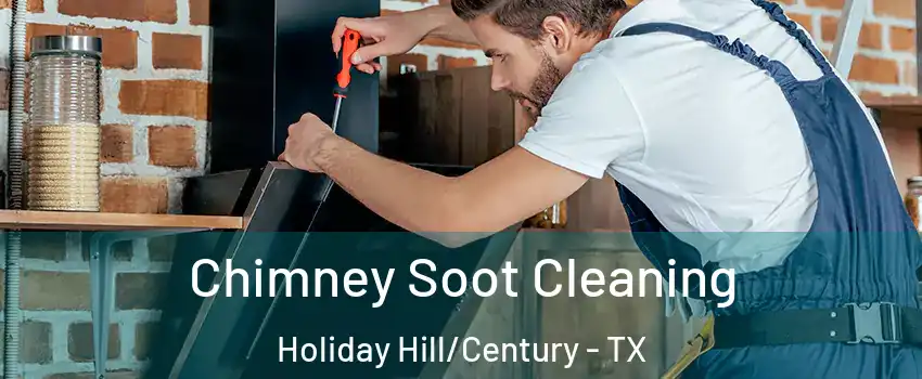 Chimney Soot Cleaning Holiday Hill/Century - TX