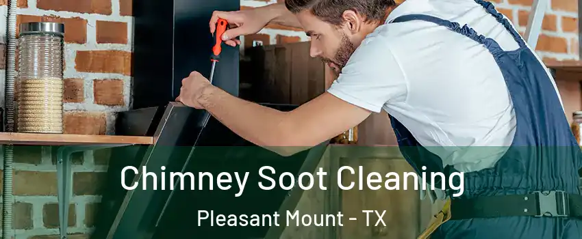 Chimney Soot Cleaning Pleasant Mount - TX