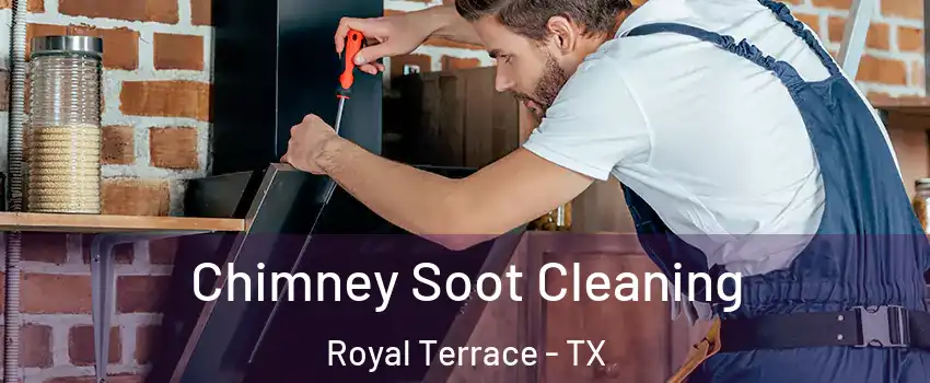 Chimney Soot Cleaning Royal Terrace - TX